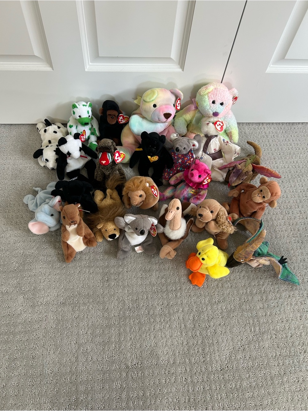 Ty Multicolor Beanie Babies Assorted Plush Pets Collection